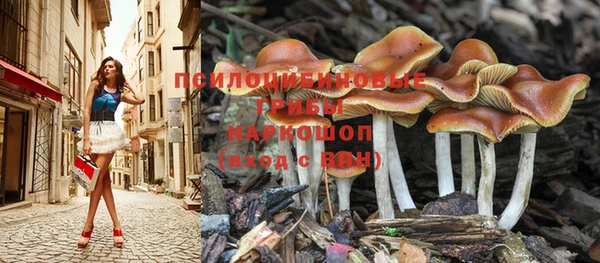 герыч Богородицк