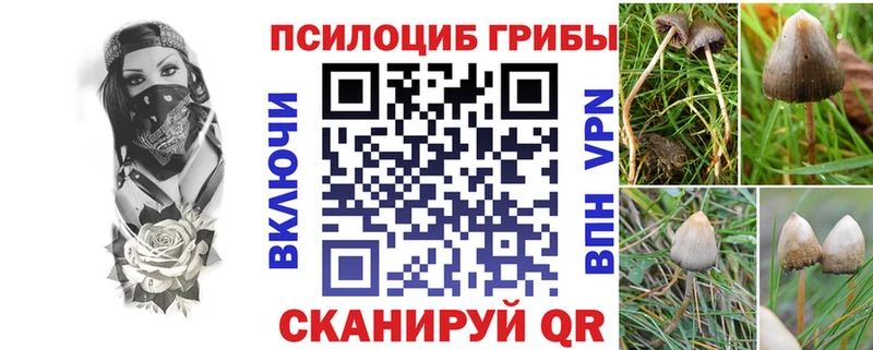 Псилоцибиновые грибы Magic Shrooms  Кинешма 